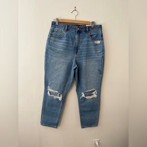 American Eagle NWT Mom Jean